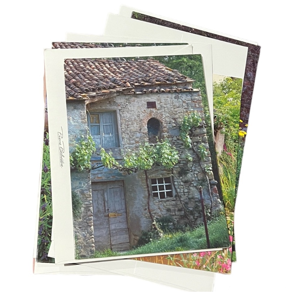 Collection of Flowers and Doors and Windows Photography Blank Greeting Cards